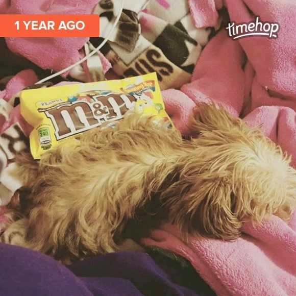 Meet your Posher, Joyce - Picture 3 of 4